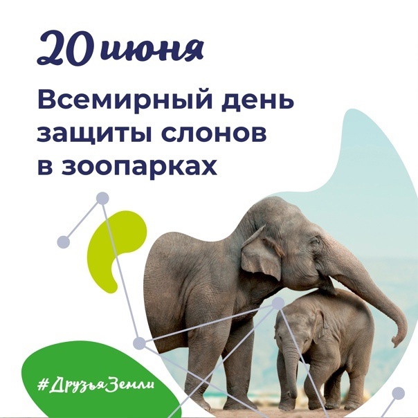 20 июня - &amp;quot;День защиты слонов&amp;quot;.